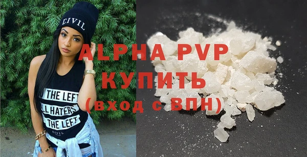 стаф Арсеньев