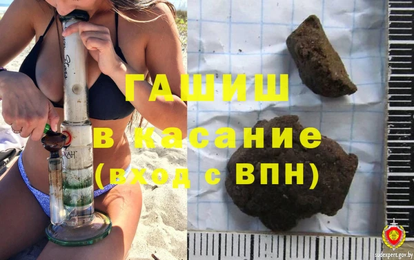 стаф Арсеньев