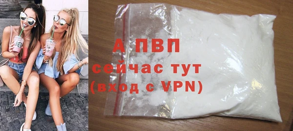 стаф Арсеньев