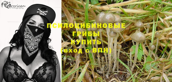 стаф Арсеньев