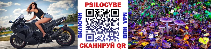 Псилоцибиновые грибы GOLDEN TEACHER  Купить где  Нарткала 
